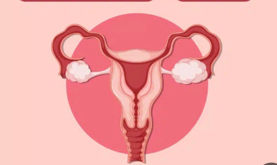 IMG_20250927_003239_290