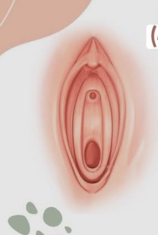 Screenshot_۲۰۲۵۰۹۰۲_۱۵۱۲۲۲_Google