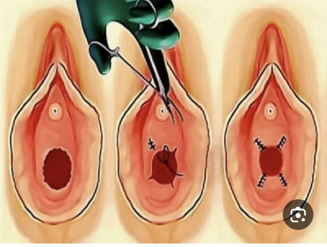 Screenshot_۲۰۲۵۰۹۲۱_۱۸۱۷۵۸_Google