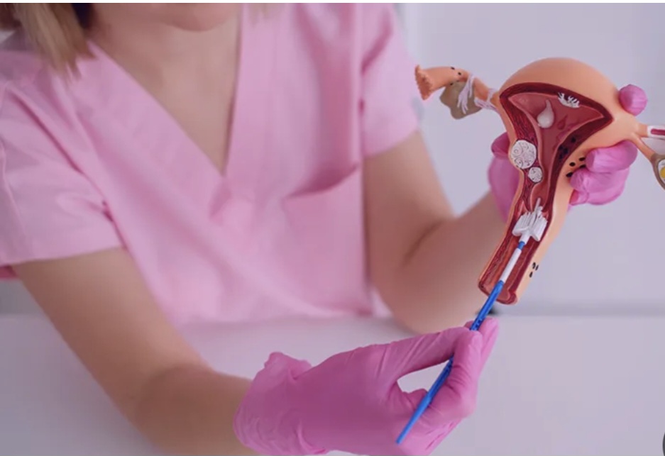 Screenshot_۲۰۲۵۱۲۲۹_۲۳۴۵۱۳_Google